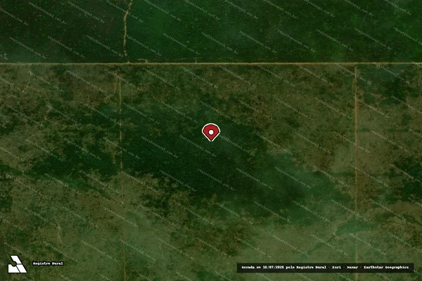 Imagem de satélite de Infração da Flora em Santa Terezinha - MT (marcador da localização)
