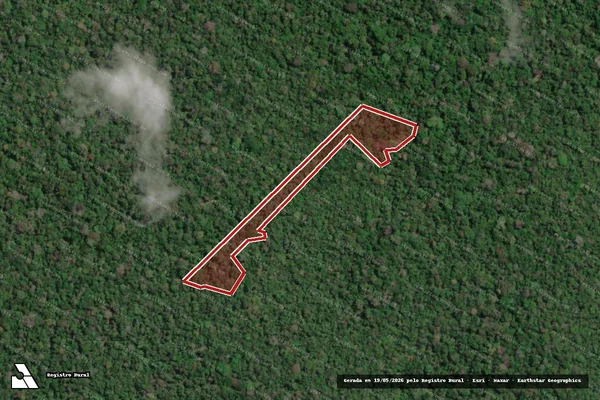Imagem de satélite de Infração Ambiental em Caroebe - RR