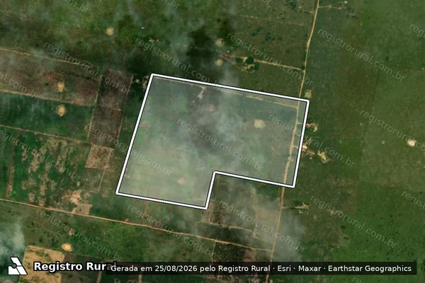 Imagem de satélite de Infração Ambiental em Porto Velho - RO
