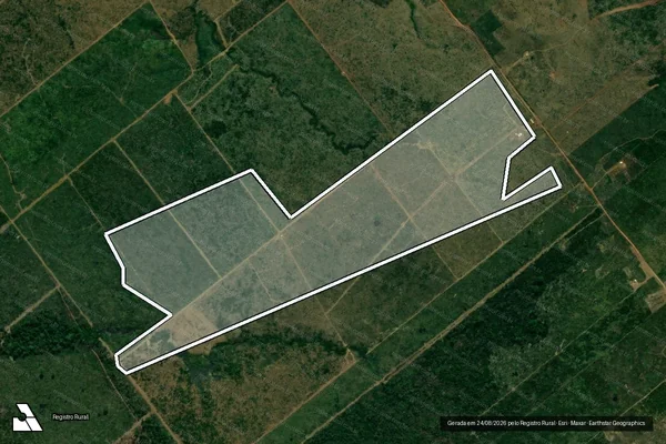 Imagem de satélite de Infração Ambiental em Porto Velho - RO