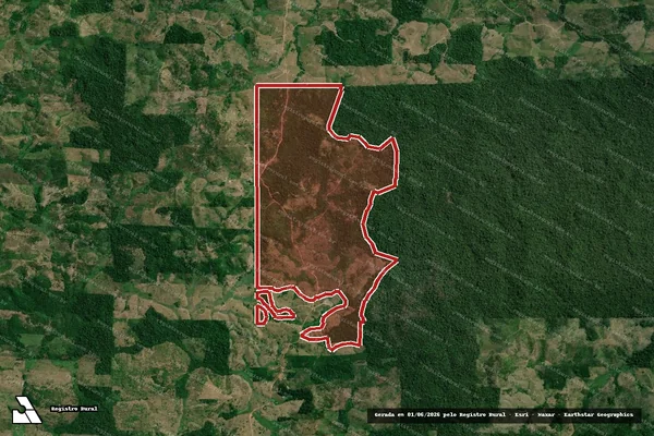 Imagem de satélite de Infração Ambiental em Dom Eliseu - PA