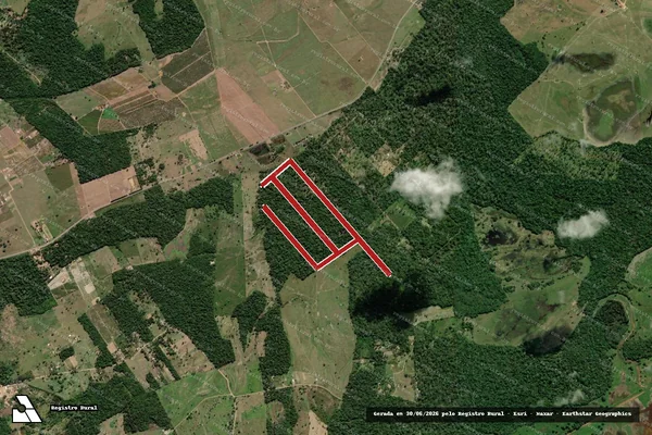 Imagem de satélite — Embargo IBAMA — Infração da Flora - Linhares/ES