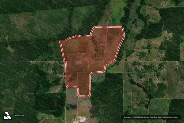Imagem de satélite de Infração da Flora em Altamira - PA