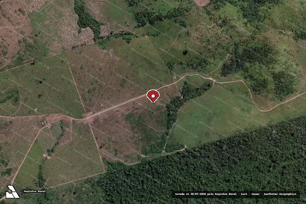 Imagem de satélite de Infração Ambiental em Novo Progresso - PA (marcador da localização)