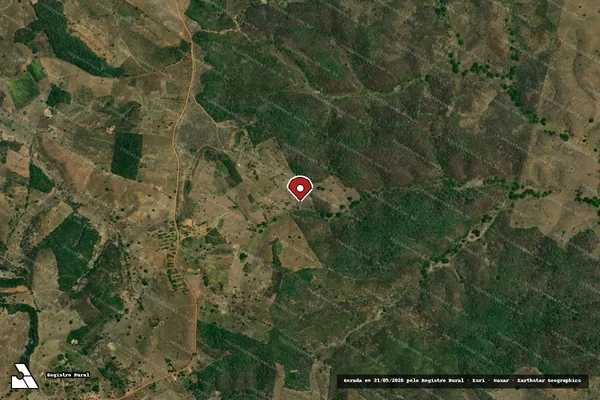 Imagem de satélite de Infração Ambiental em Capela - SE (marcador da localização)