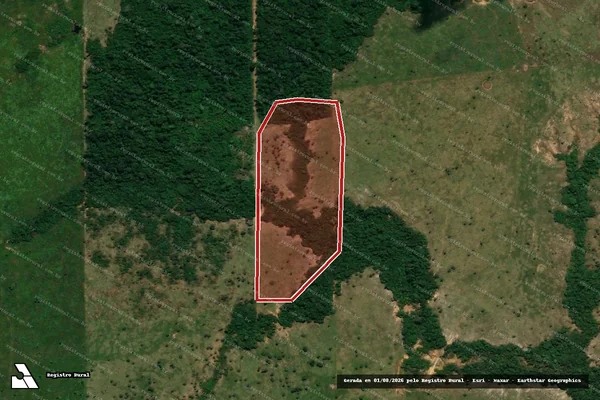 Imagem de satélite de Infração Ambiental em Porto Velho - RO