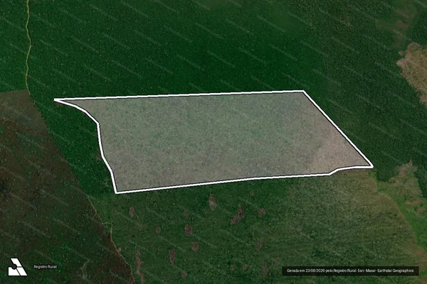 Imagem de satélite — Embargo IBAMA — Infração da Flora - Apuí/AM