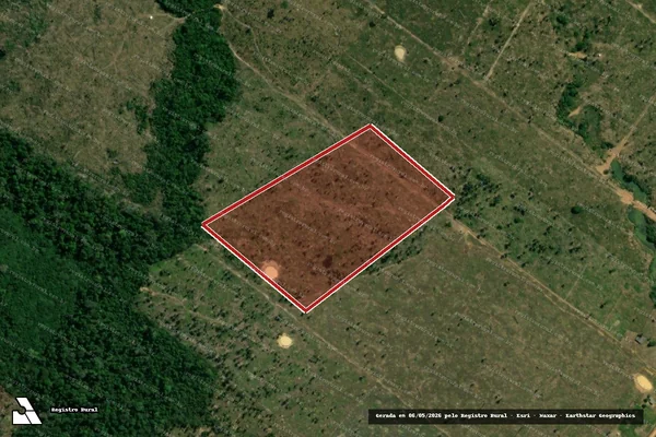Imagem de satélite de Desmatamento em Porto Velho - RO