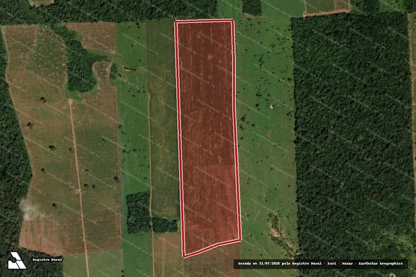 Imagem de satélite de Infração da Flora em Ariquemes - RO