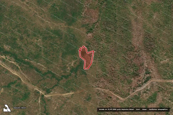 Imagem de satélite de Infração Ambiental em Paranã - TO