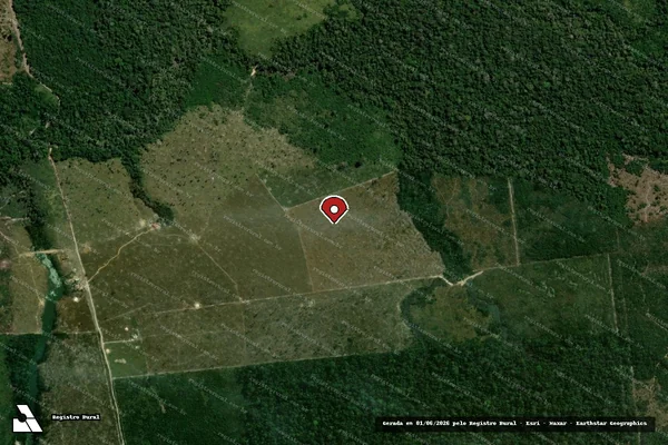 Imagem de satélite de Infração Ambiental em Buritis - RO (marcador da localização)
