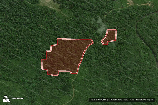 Imagem de satélite de Infração da Flora em Tomé-Açu - PA