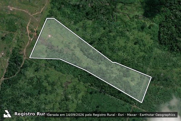 Imagem de satélite — Embargo IBAMA — Infração Ambiental - Humaitá/AM