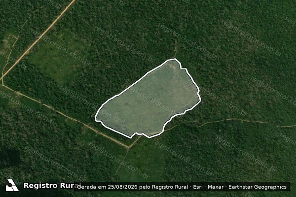Imagem de satélite — Embargo IBAMA — Infração da Flora - Uruará/PA