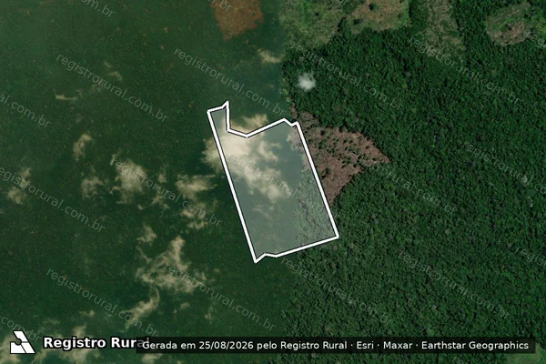 Imagem de satélite de Infração da Flora em Novo Repartimento - PA