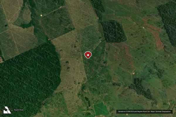 Imagem de satélite de Infração Ambiental em Apuí - AM (marcador da localização)