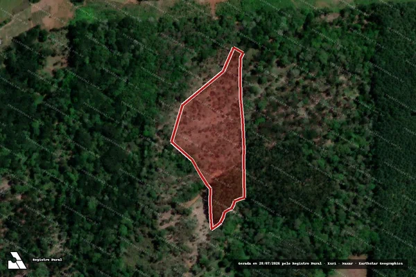 Imagem de satélite de Infração Ambiental em Bituruna - PR