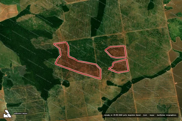 Imagem de satélite de Infração da Flora em Brasnorte - MT