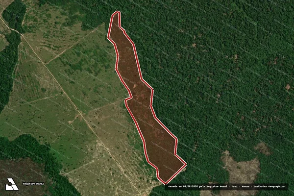 Imagem de satélite de Infração da Flora em Manicoré - AM