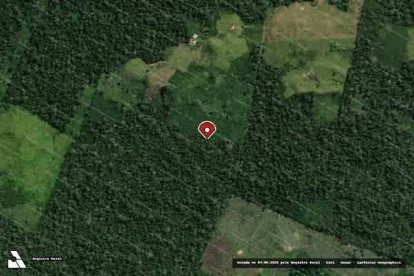 Imagem de satélite de Infração da Flora em Feijó - AC (marcador da localização)