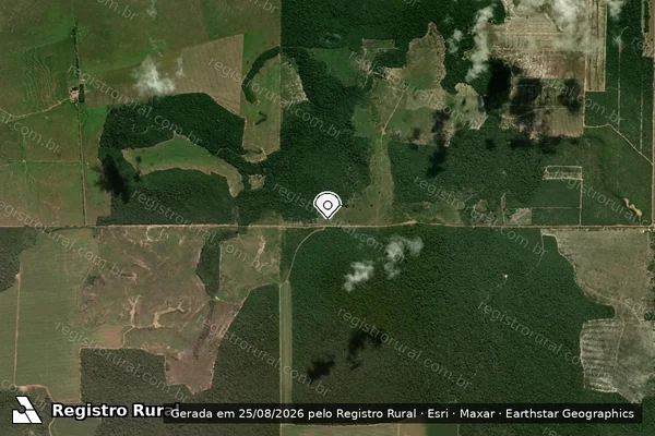 Imagem de satélite de Infração Ambiental em Vilhena - RO (marcador da localização)
