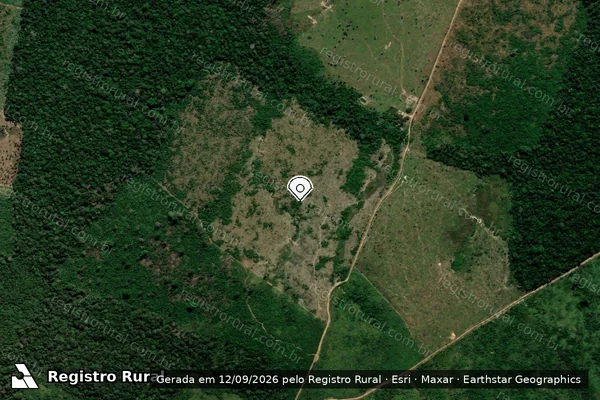 Imagem de satélite de Infração Ambiental em Apuí - AM (marcador da localização)