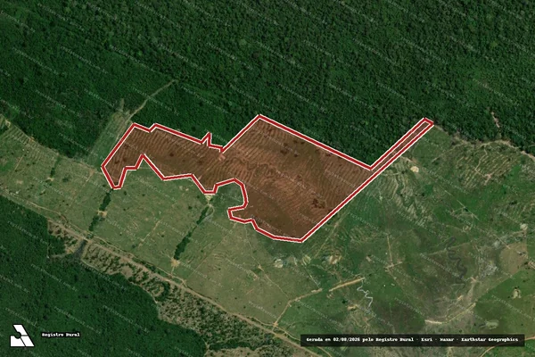 Imagem de satélite de Infração da Flora em Caracaraí - RR