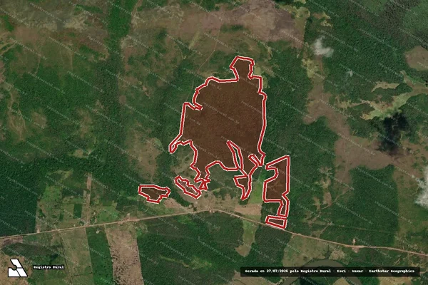 Imagem de satélite de Infração da Flora em Alenquer - PA