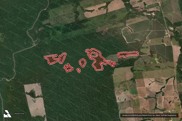 Imagem de satélite de Infração da Flora em Novo Progresso - PA
