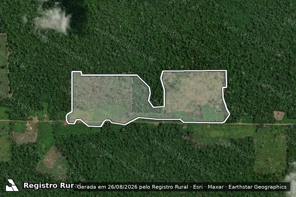 Imagem de satélite de Infração da Flora em Rorainópolis - RR