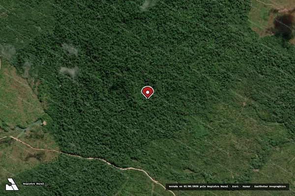 Imagem de satélite de Infração Ambiental em Dom Eliseu - PA (marcador da localização)