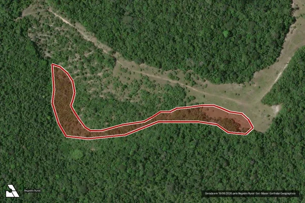 Imagem de satélite de Infração Ambiental em Santa Cruz Cabrália - BA