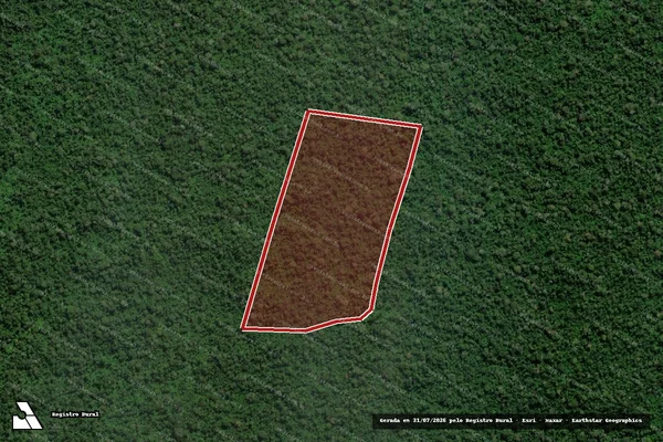 Imagem de satélite de Infração da Flora em Boca do Acre - AM