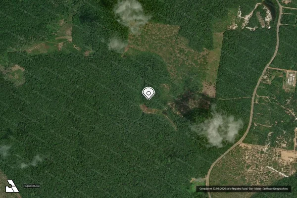 Imagem de satélite — Embargo IBAMA — Infração Ambiental — Novo Airão/AM