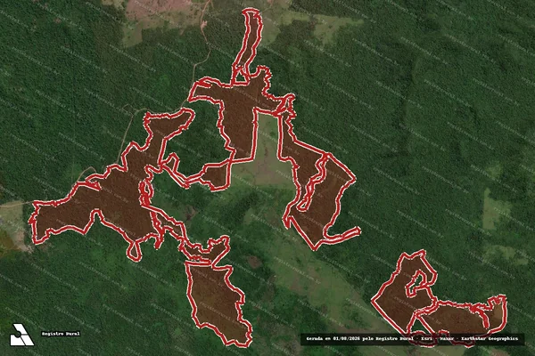 Imagem de satélite de Infração Ambiental em São Félix do Xingu - PA
