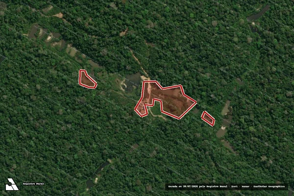 Imagem de satélite de Infração Ambiental em Altamira - PA