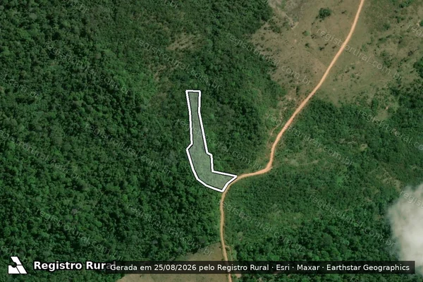 Imagem de satélite de Infração da Flora em Pacajá - PA