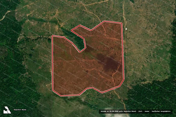 Imagem de satélite de Infração Ambiental em Nova Mamoré - RO