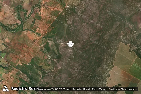 Imagem de satélite de Infração Ambiental em Francisco Dumont - MG (marcador da localização)