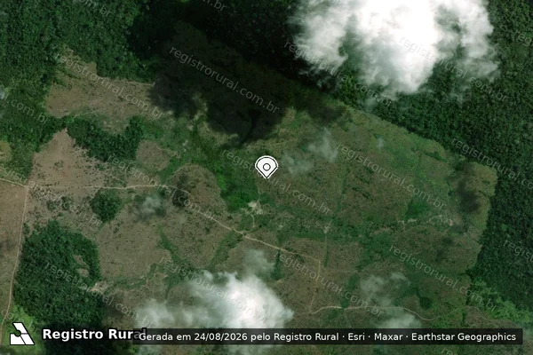 Imagem de satélite de Infração da Flora em Senador José Porfírio - PA (marcador da localização)