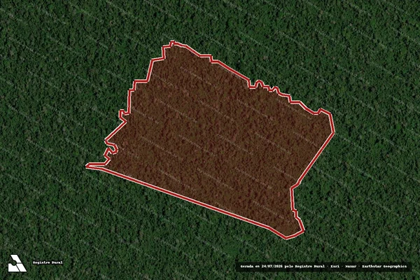 Imagem de satélite de Infração da Flora em Medicilândia - PA