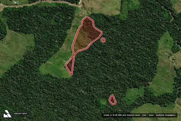 Imagem de satélite de Infração da Flora em Feijó - AC
