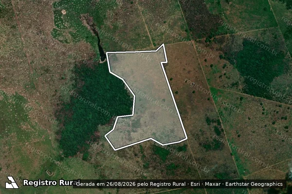 Imagem de satélite de Infração da Flora em São Félix do Xingu - PA