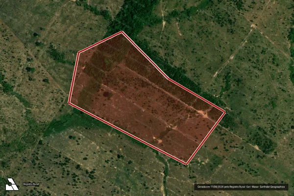 Imagem de satélite de Infração da Flora em Porto Velho - RO