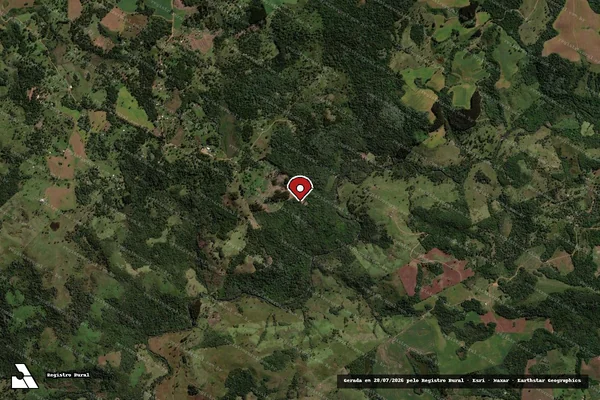 Imagem de satélite de Infração Ambiental em Pinhão - PR (marcador da localização)