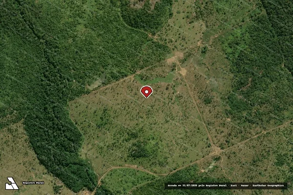 Imagem de satélite de Infração da Flora em Rondolândia - MT (marcador da localização)