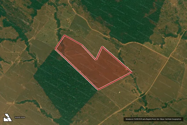 Imagem de satélite de Infração da Flora em Buritis - RO