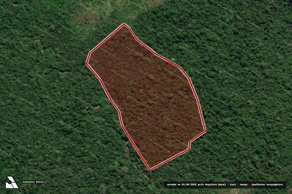 Imagem de satélite de Infração da Flora em Pacajá - PA