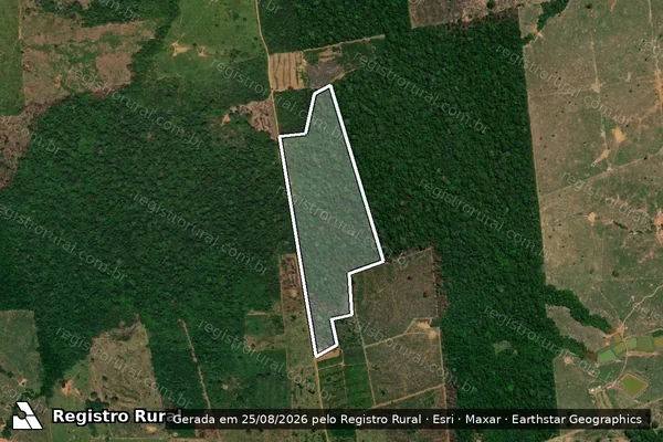 Imagem de satélite de Infração Ambiental em Porto Velho - RO