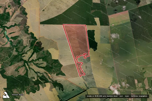 Imagem de satélite de Infração Ambiental em Dom Eliseu - PA